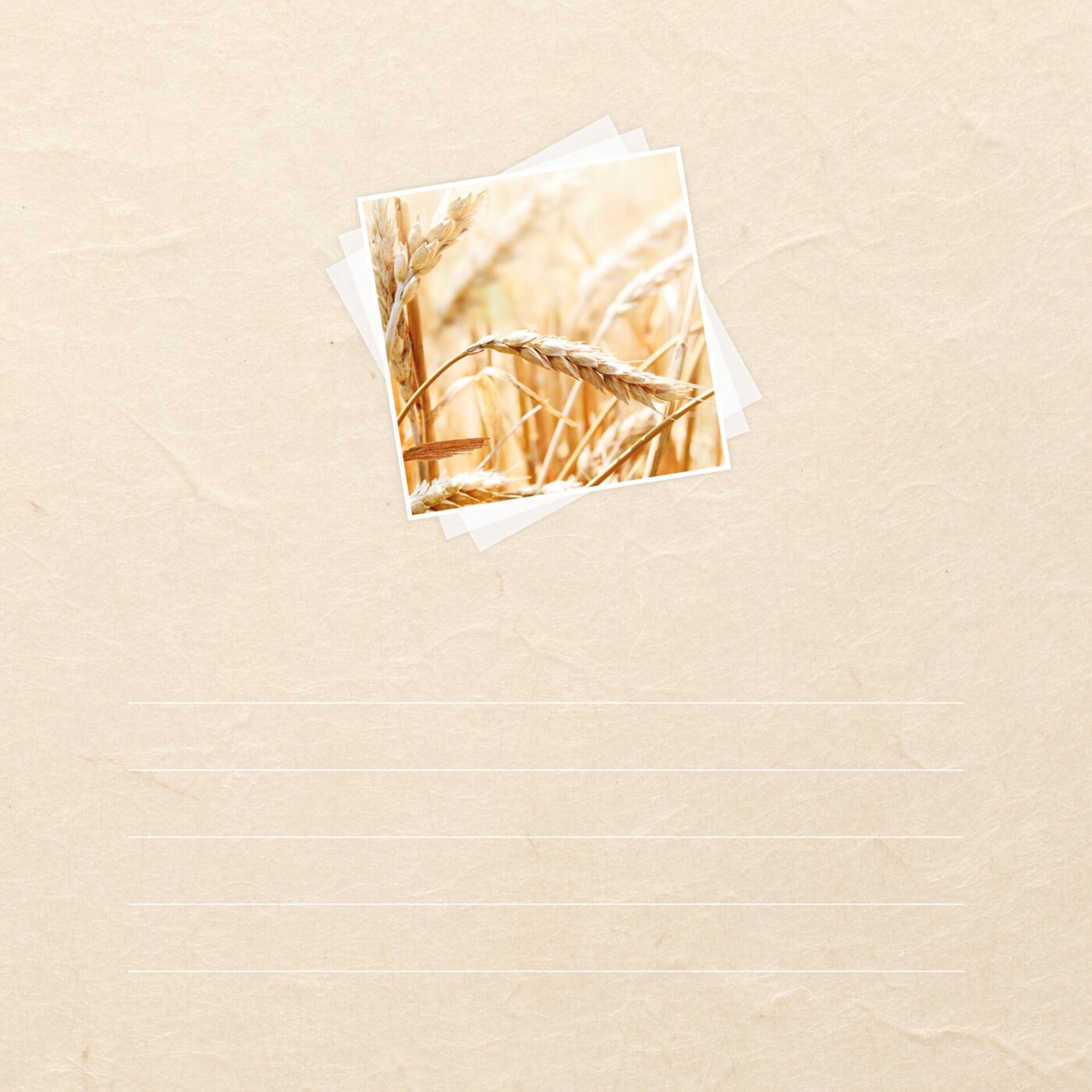 Álbum Comunión Mod. 15 - 2